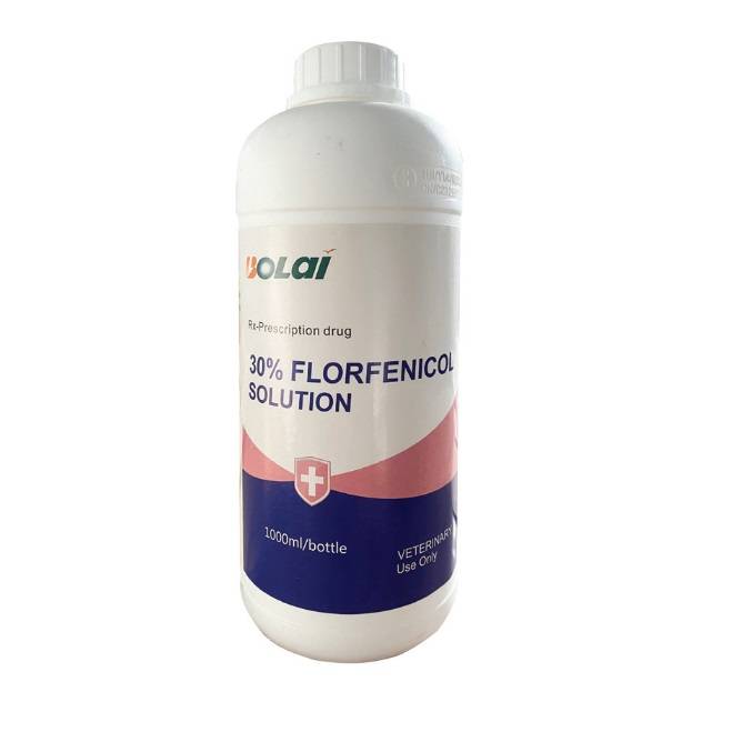 30% FLORFENICOL SOLUTION - Điều trị và phòng ngừa bệnh viêm đường tiêu hóa, tụ huyết trùng, tụ cầu và các bệnh do vi khuẩn khác gây ra bởi các vi sinh vật nhạy cảm với florfenicol ở gia cầm. Điều trị bệnh hô hấp ở lợn do Actinobacillus pleuropneumoniae và Pasteurella multocida nhạy cảm với florfenicol.