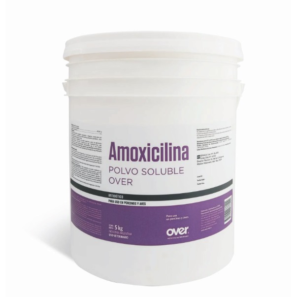 AMOXICILLINA POLVO SOLUBLE OVER - Trị nhiễm khuẩn đường hô hấp, tiêu hóa, niệu sinh dục trên lợn và gia cầm.