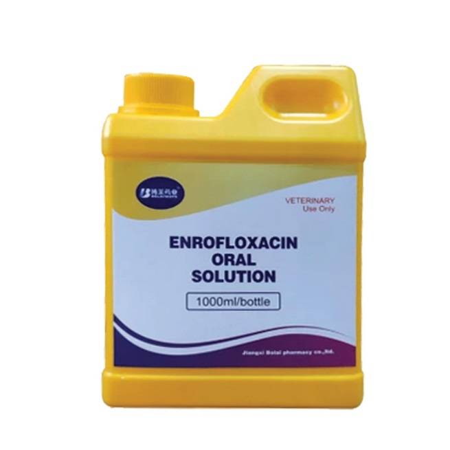 ENROFLORXACIN ORAL SOLUTION - Trị viêm phổi, viêm dạ dày ruột, nhiễm trùng máu, mô mềm trên trâu, bò, cừu, lợn, gia cầm.