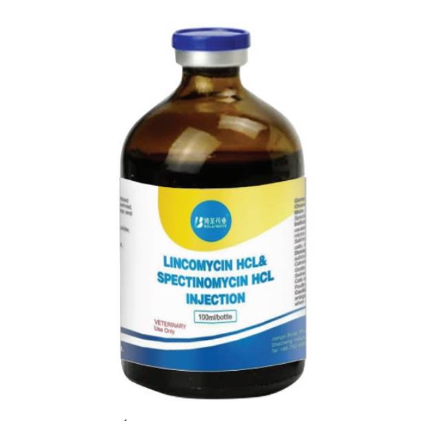 LINCOMYCIN HCL & SPECTINOMYCIN HCL INJECTION - Trị nhiễm trùng đường hô hấp, tiêu hóa, bệnh lỵ, nhiễm trùng da, viêm khớp, viêm móng, viêm chân trên bê, nghé, lợn, cừu, dê, chó, mèo, gia cầm.