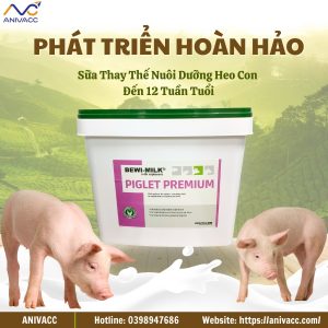 DÒNG SỮA CAO CẤP - SỮA THAY THẾ CHO HEO CON