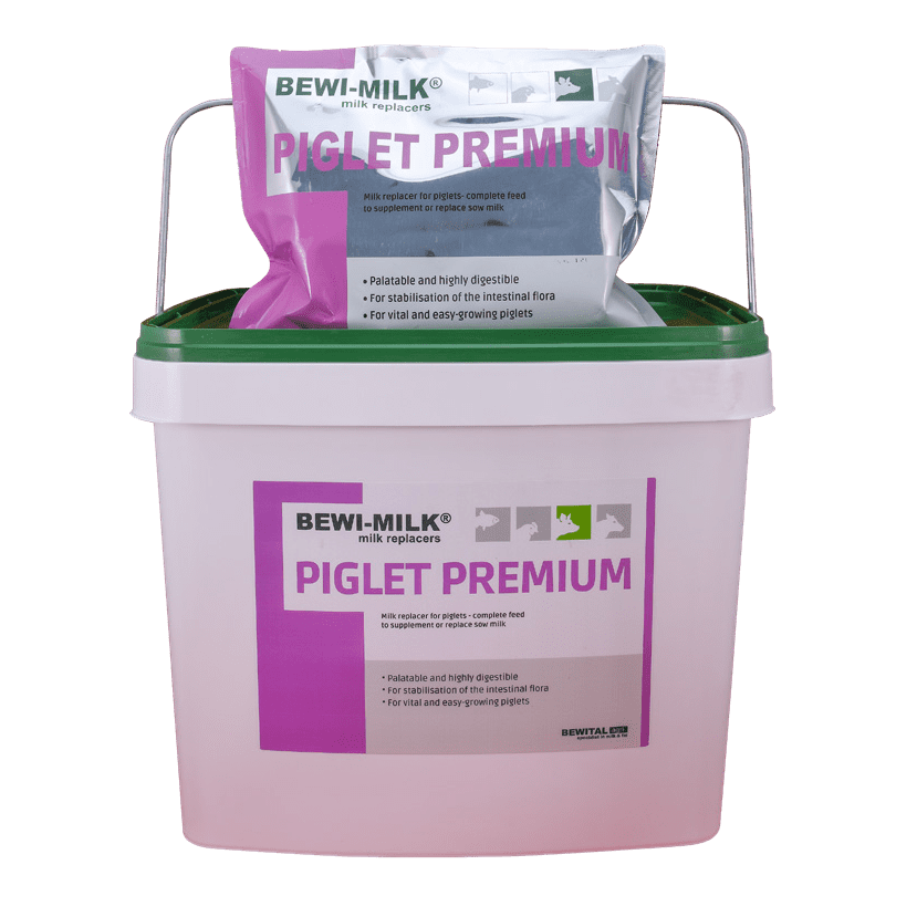 Sữa Bewi-milk piglet Premium