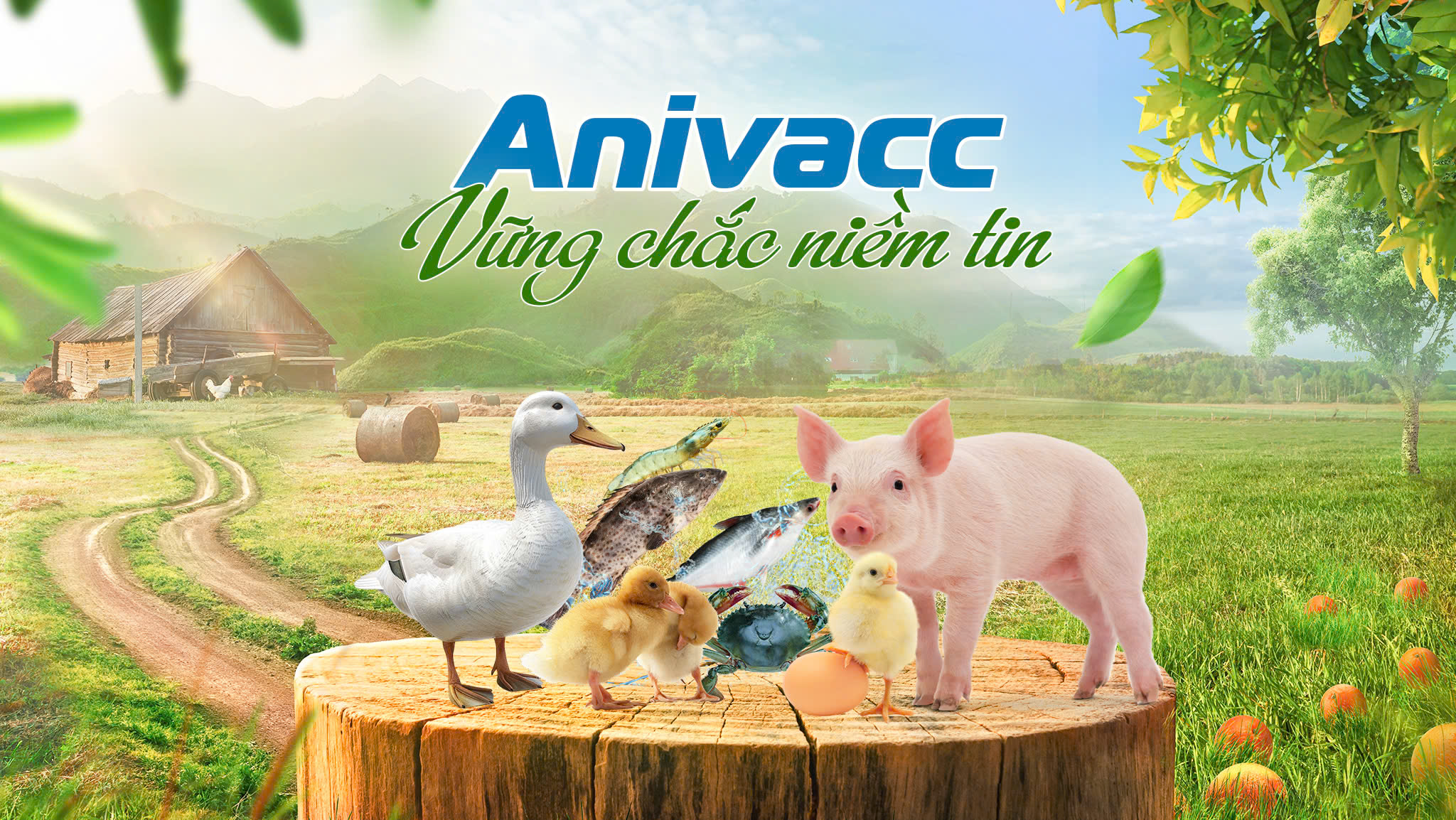 Anivacc